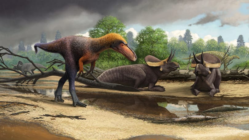 Megtalálták a T. rex korai rokonát, alig néhány kilós volt