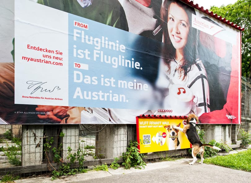 Kutyatápszagú plakátokkal izgatják a kutyákat Bécsben