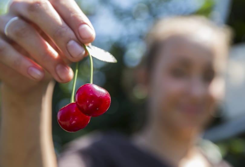 Roma tinikből képeznék bentlakásos iskolákban a jövő gazdálkodóit 