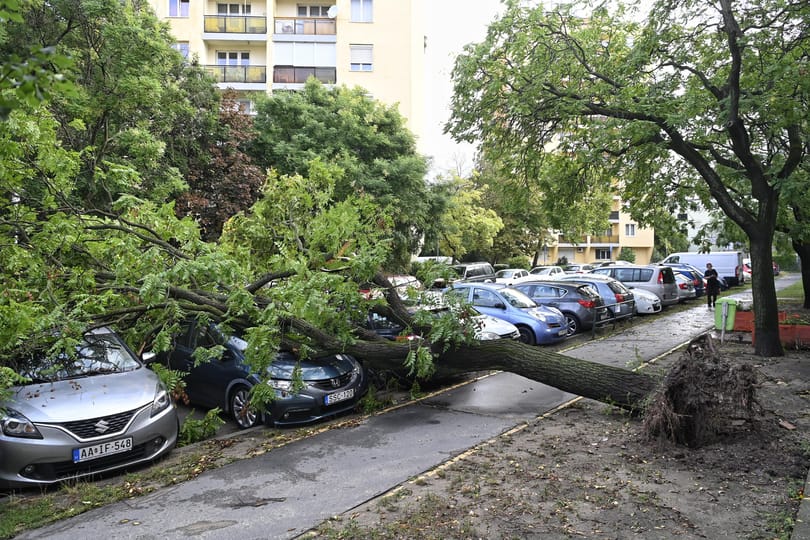 Ezt hagyta maga után a vihar Budapesten - galéria