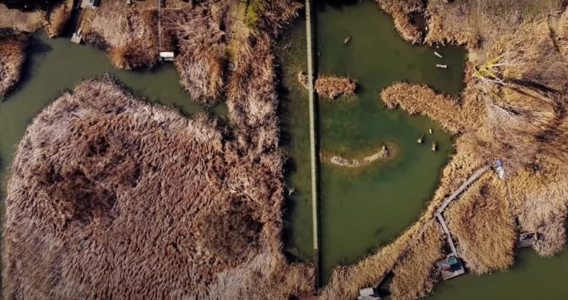 Kopasz tájsebből mosolygós arc: egy éve takarították ki az olajat a Kis-Dunából