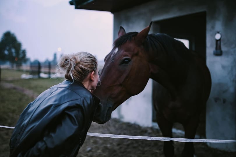 Kutatók kipróbálták, hogy reagálnak a lovak, ha úgy beszélnek hozzájuk, mint a kisgyerekekhez