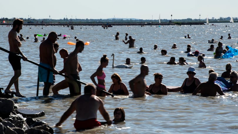 Fürdőzési tilalmat rendeltek el a Velencei-tó egyik strandjánál