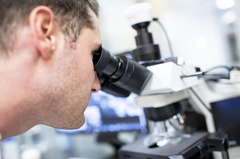 Utazás a sejtjeinkbe – betekintettünk a nanovilágba