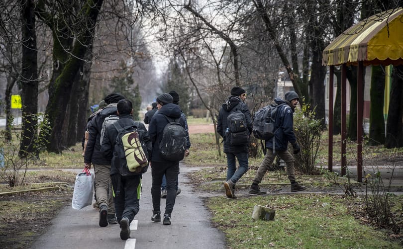 Migránsbandák lövöldöztek egymásra a szerb-magyar határ közelében, többen meghaltak