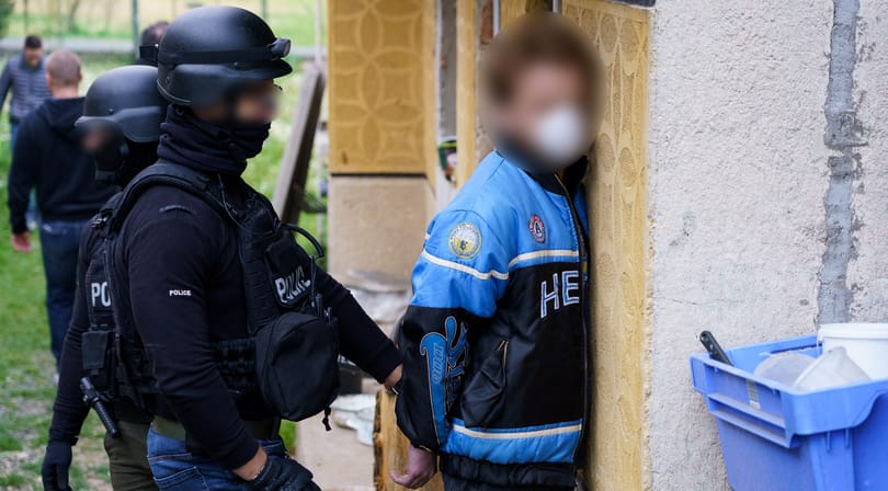 Szüret után csaptak le a rendőrök egy nógrádi marihuánaültetvényre