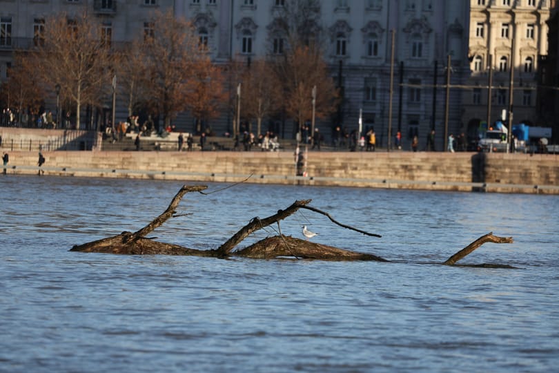 Már 500 kilométeren van árvízi készültség, Budapesten szombaton tetőzik a Duna