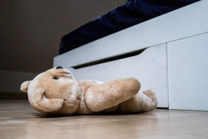 NMHH: Minden bejelentés számít a gyermekpornográf tartalmak esetében
