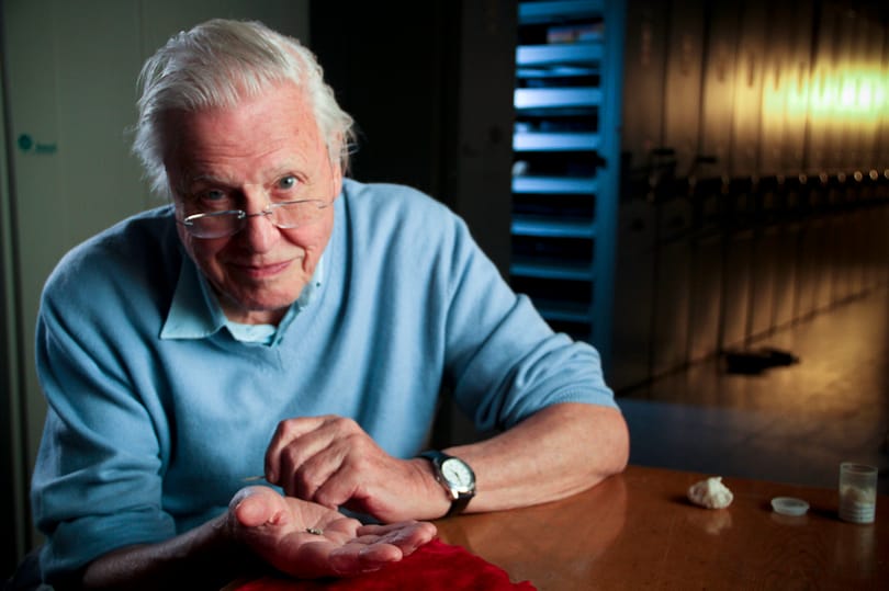 David Attenborough megmutatja a dinólábat, ami megmaradt a pusztító aszteroida becsapódása után