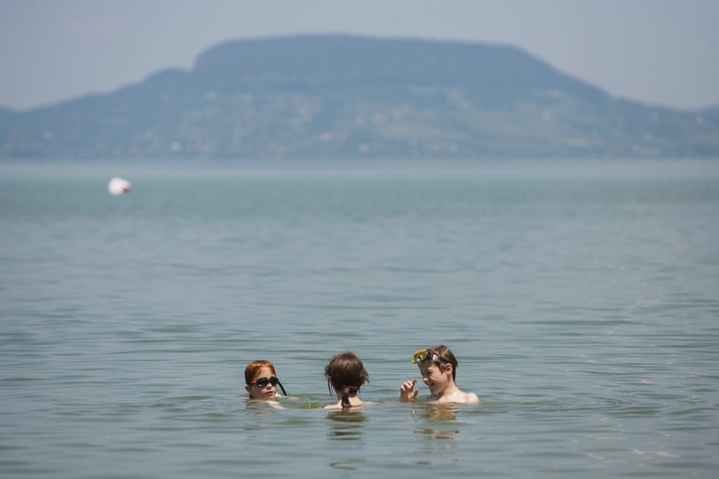 Nem a halpusztulás miatt betegedtek meg Risztovék a Balatonban