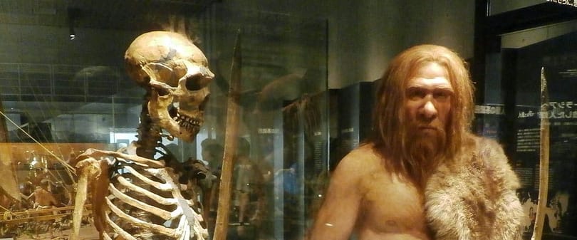Ma is hatnak a vérfertőző neandervölgyiek gémutációi