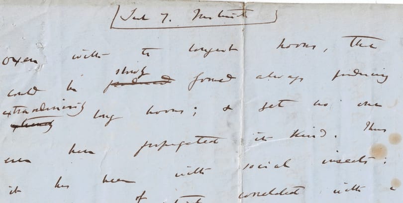 Mostantól ön is megnézheti Charles Darwin kéziratát, ami megváltoztatta a világot