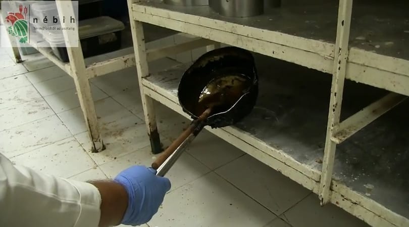 Egérürülék a cukrászatban: máshogy nézhet a krémesre ezután – videó