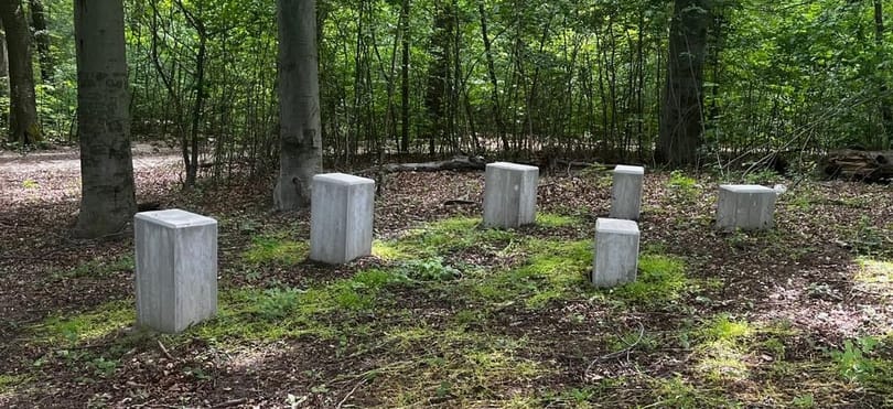A Normafán is készül lombkoronasétány: betonkockákra és egy hatalmas betonteknőre futotta, kétmilliárdból