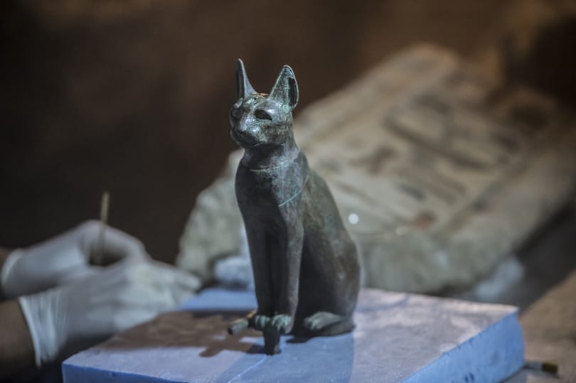 Elképesztő macskamúmiákat találtak Egyiptomban