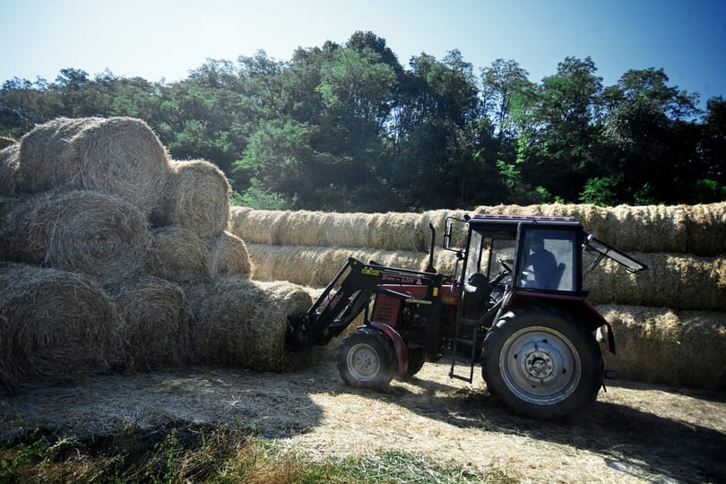 Rekordszámba megy a mezőgazdaság teljesítménye