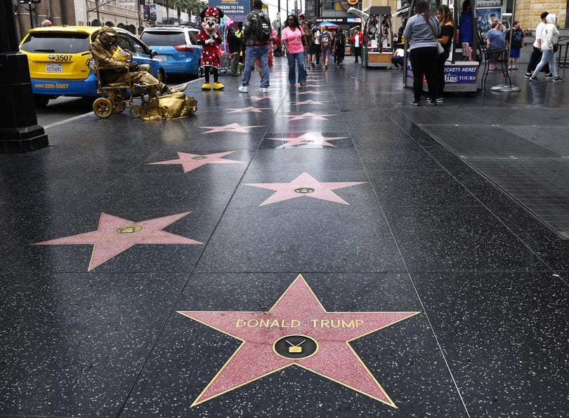 Csillagot kap Timothée Chalamet Hollywoodban
