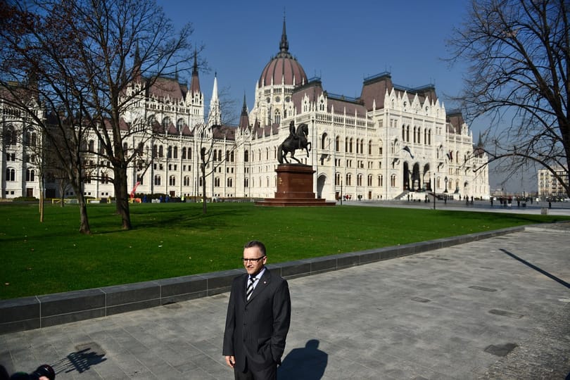Wachsler: egy védett fát sem vágtak ki a Kossuth téren