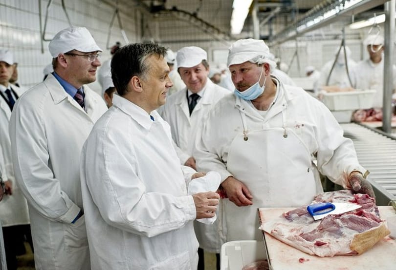 Milliárdokat öntött bele a kormány, egy euróért vitték volna 