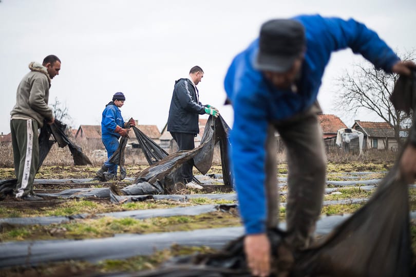 Megmérettetnek a közmunkások: a tét 180 ezer forint
