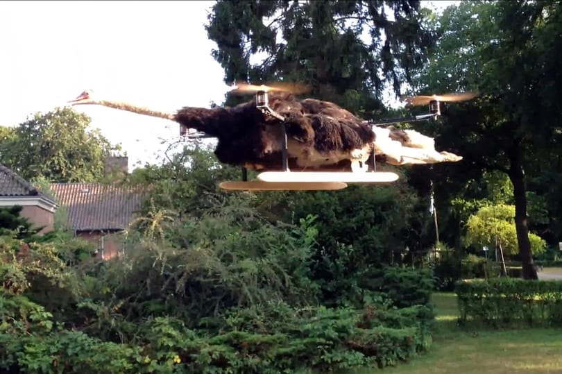 Videó: döglött struccból csinált helikoptert egy holland művész