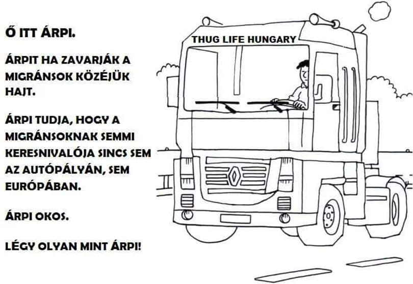 Menekültet gázolna a fideszes képviselőnő