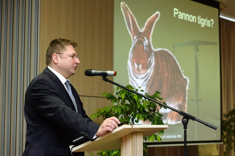 Tóta W.: Mit kíván a Magyarország Betéti Társaság?