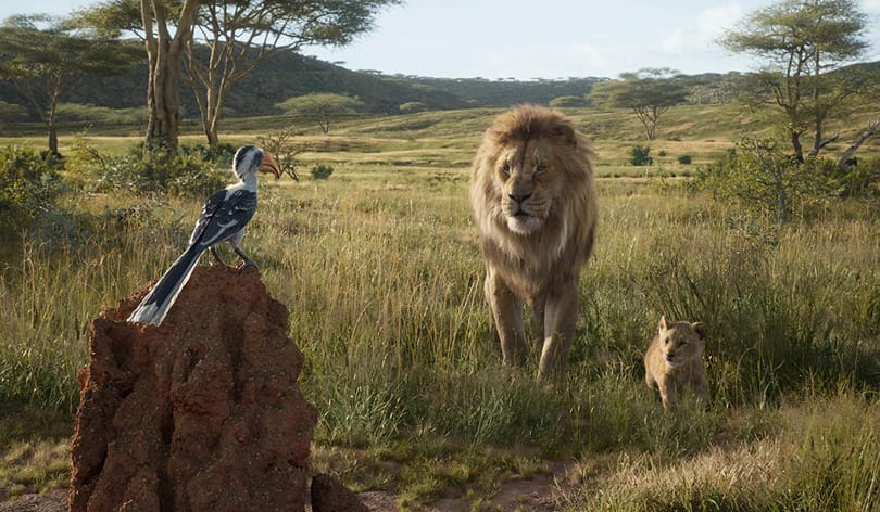 Megölte az új Oroszlánkirályt a Disney a nagyravágyásával