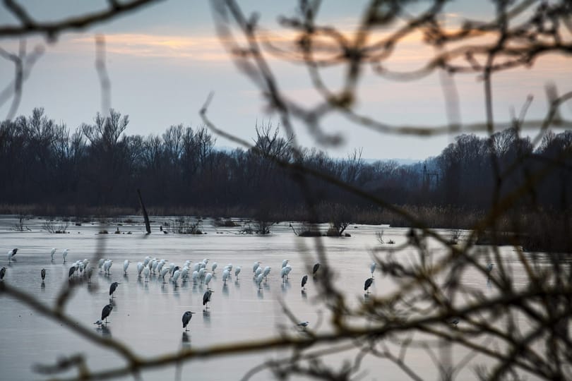 Telenyomják ponttyal a Balatont