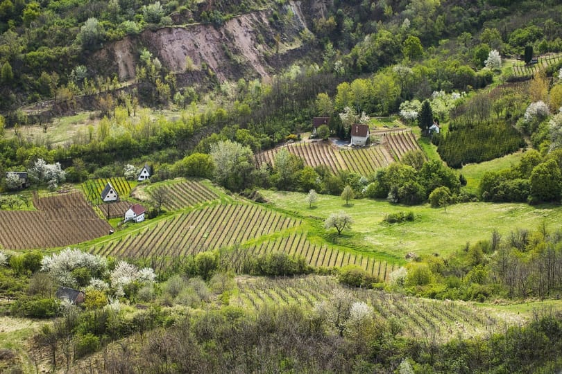 Kedvezményesen adták oda a Tokaj nevet az állami milliárdokkal kitömött szállodásnak