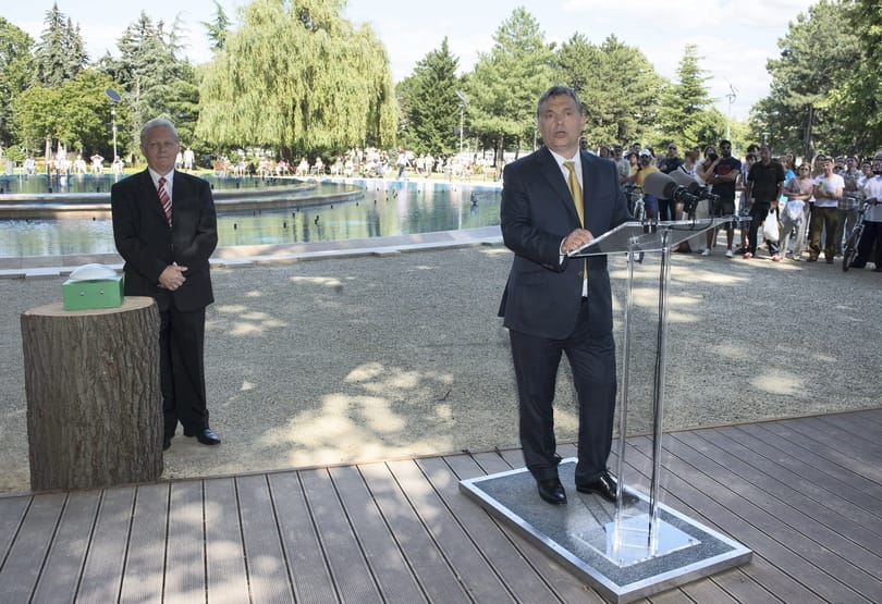 Orbán a Margitszigeten készül a Normafa átalakítására