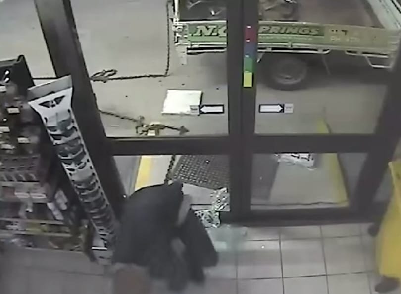 Hát tényleg nem minden rabló agysebész - videó