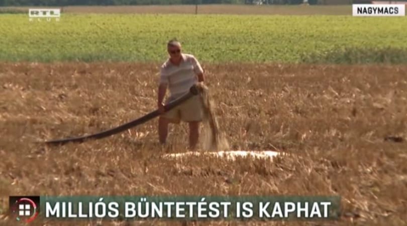 Trágyabűzben fuldoklik Nagymacs, milliós büntetést kaphat a sertéstelep