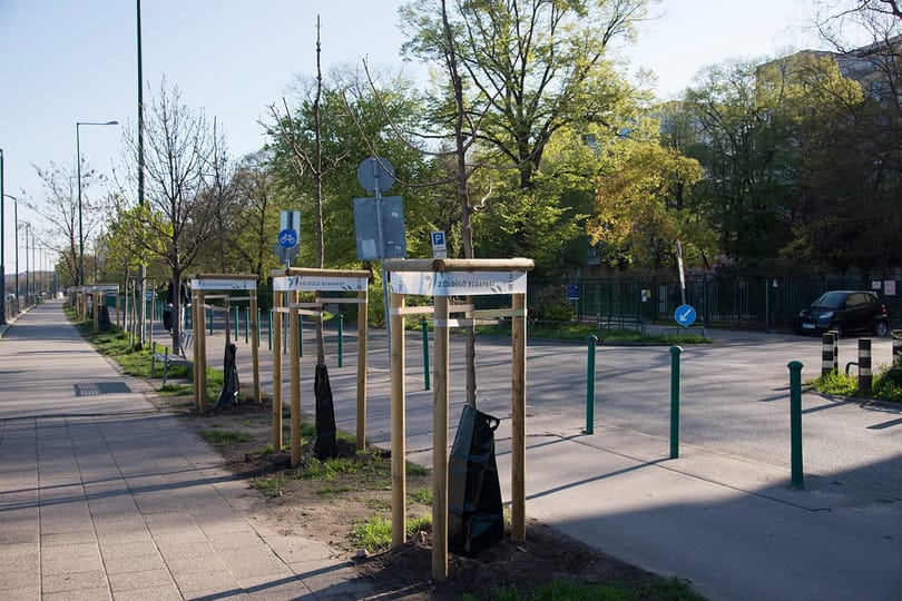 Telex: Azonnali hatállyal kirúgták a Főkert főigazgatóját