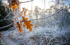 Jön a lehűlés hétvégén, vége a januári enyhülésnek