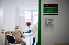 444: Használhatatlan programot kényszerítettek rá a védőnőkre