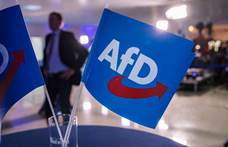 Kizárja a német AfD-t a szélsőjobboldali Identitás és Demokrácia EP-frakció