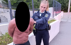 Anyaszült meztelenül, ittasan kocsikázott egy férfi Budaörsön