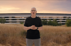 Nekimegy az Apple az Európai Unió döntésének, 201 milliárd a tét