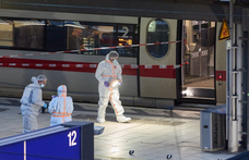 Hamburgi késelés: a támadás előtti napon engedték ki a pszichiátriáról az elkövetőt
