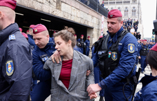 A Momentum elnöksége dönt arról, ki lesz a lemondott Orosz Anna képviselő-utódja, 32 név jöhet szóba