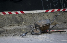 Nőtt a munkanélküliség, csökkent a foglalkoztatottság, a KSH a bázisra mutogat