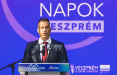 Legalább százezer forintra büntetné a fideszes képviselő azt, aki élő állattal koldul