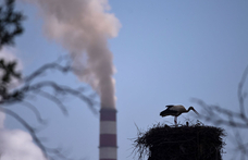 A koszovói vállalkozók lezárták a Pristinába vezető utakat, mert nem kapnak többé államilag támogatott energiát