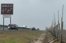 Csenevész facsemetéket ültettek a Nélküledet játszó zenélő út mellé, az ellenzők továbbra is zajvédő falat kérnek