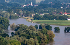 62 órát töltött egy fán egy nő a Duna áradása miatt Németországban
