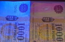 Euróban kapja fizetését egy állami cégvezető