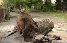 Durva károkat okozott a hétvégi jégeső, Debrecenben fákat csavart ki a vihar – videó