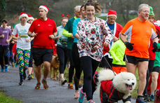 Ezt okozza az emberben az 5 km-es parkrun