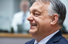 Populizmus-szakértő: Magyarország mutatja meg, merre vinné az AfD Németországot